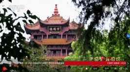 c015.jpg